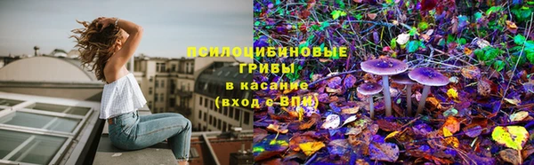 PSILOCYBIN Володарск